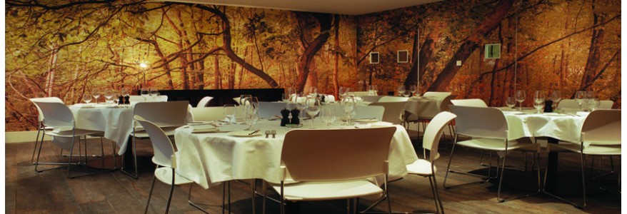 Tapet decorativ